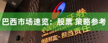 巴西市场速览：股票 策略参考