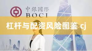 杠杆与配资风险图鉴 cj