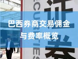 巴西券商交易佣金与费率概览