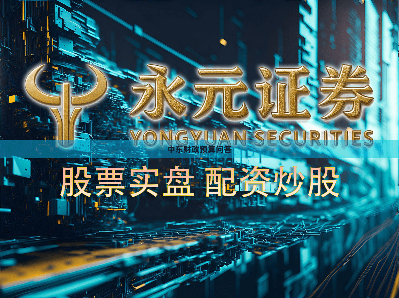 中东财政预算问答